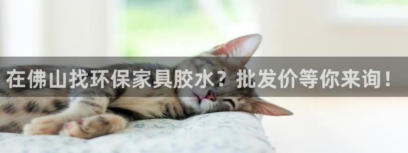 杏耀app怎样申请
