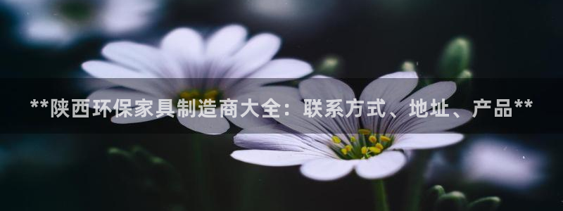 杏耀注册网址