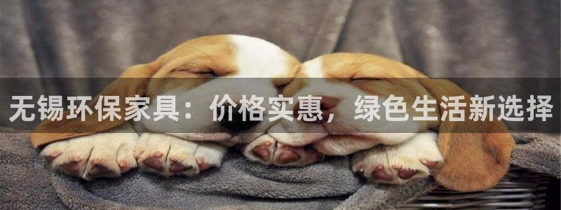杏耀代理注册开户