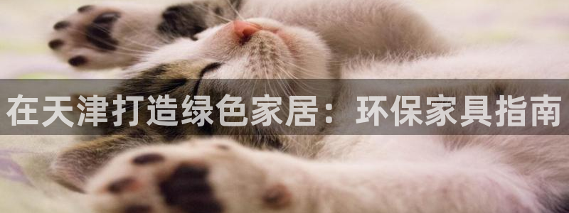 杏耀登录网页
