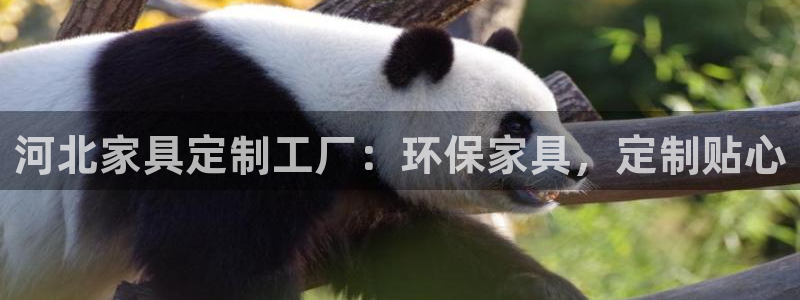 杏耀代理主管qq