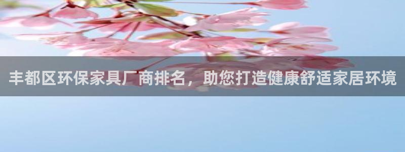 杏耀软件