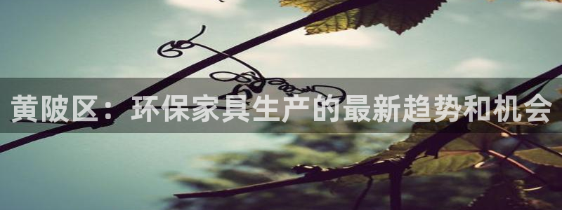 杏耀平台到底能玩吗