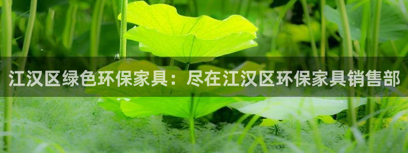 杏耀平台代理注册多少钱：江汉区绿色环保家具：尽在江汉区环保家