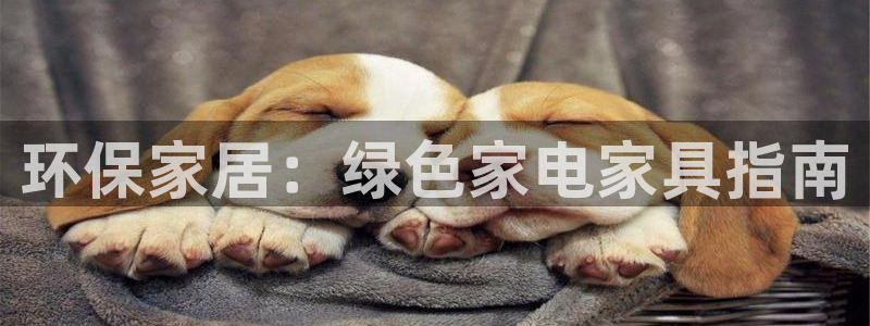 杏耀线路测速登录中心：环保家居：绿色家电家具指南