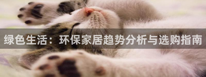 杏耀官方