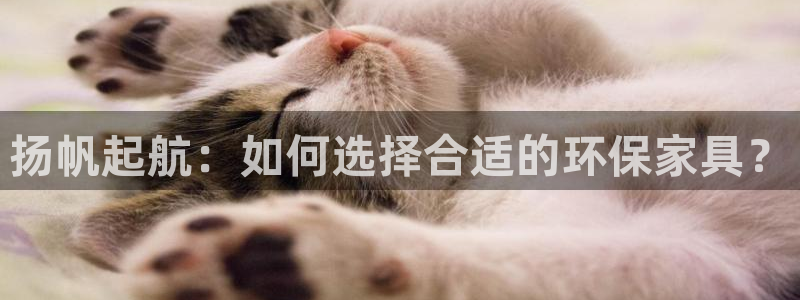杏耀网址官网