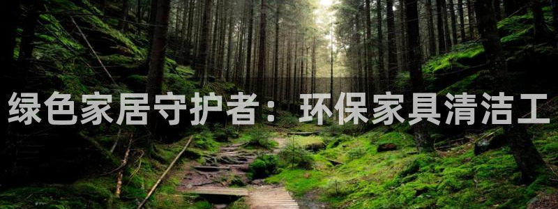 杏耀测速网址电脑版：绿色家居守护者：环保家具清洁工