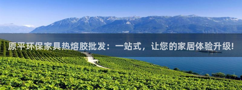 杏耀注册中心：原平环保家具热熔胶批发：一站式，让您的家居体验