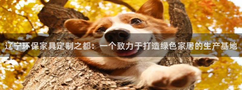 杏耀平台代理注册多少钱一年：辽宁环保家具定制之都：一个致力于