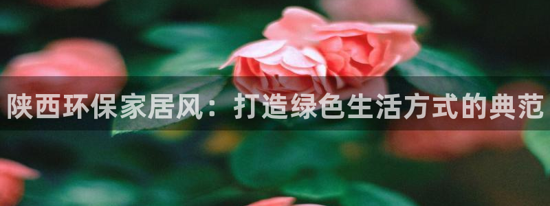 杏耀官方娱乐：陕西环保家居风：打造绿色生活方式的典范